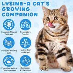 Fanshi Lysine dropper shows precise dosing for easy administration