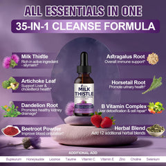 Femmetra Kidney Support blend image emphasizing filtration and urinary health