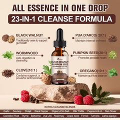 Femmetra pumpkin seed ingredient close-up suggesting nutrient-rich plant support