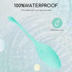 fenhua Kegel Trainer usage guide shown for at-home sessions.