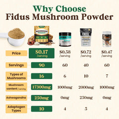 Fidus mushroom powder jar close-up highlighting 10:1 extraction potency.