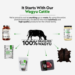 First Light Grass-Fed Liver Capsules packaging highlighting whole-food nutrition
