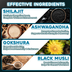 FITBOOST Shilajit Gummies composición-clave: mezcla de Shilajit y hierbas naturales