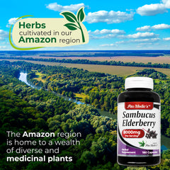 Fresh elderberries and natural ingredients symbolize antioxidant-rich nutrition.