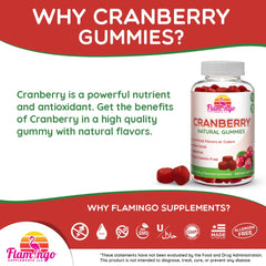 Gummies with vegan, kosher, halal symbols for inclusive dietary options