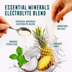 Close-up of real fruit ingredients in FlavCity Pineapple Coconut formula
