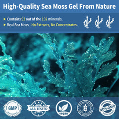 Fleamart Wildcrafted Irish Sea Moss harvest image emphasizes Caribbean sourcing.