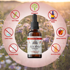 Florida Herbs Beet Root tincture glass bottle with clear label.