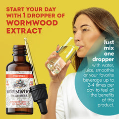 Florida Herbs Wormwood drops with precise dropper for measured digestive relief.