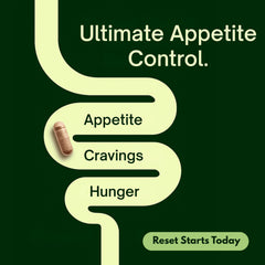FlowNutrition appetite support capsules closeup highlights a plant-based non-stimulant option.