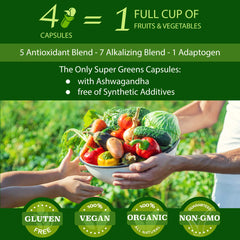 FOLONA ashwagandha capsules close-up for stress resilience and mood balance
