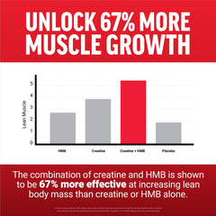 Closeup of the Force Factor Creatine HMB label details and dosage information