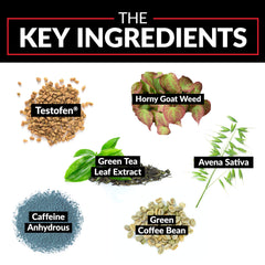 Green tea EGCG imagery associated with Test X180 Ignite's thermogenesis potential.