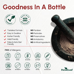 ForestLeaf Berberine with Ceylon cinnamon, showing herbal blend for synergy.
