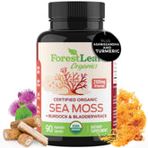 ForestLeaf Irish Sea Moss Capsules bottle for daily wellness routine