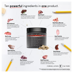 Formulation Factory Primal Power pancreas visual communicates gut-friendly nutrition