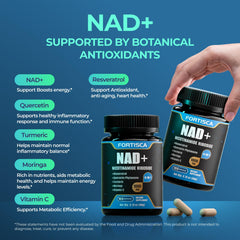 FORTISCA NAD+ antioxidant matrix with quercetin and resveratrol supports cellular defense.
