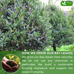FRESHDRINKUS handmade processing label conveys care and quality in the product.