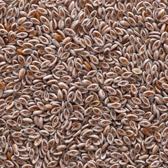 Frontier Co-op psyllium seed bag supports gluten-free baking with a mild, neutral flavor.