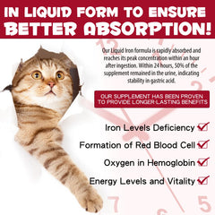 FSLHCY iron supplement for cats added to water offers flexible dosing