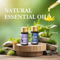 FUHITIM diffuser-ready blends shown for easy room fragrance
