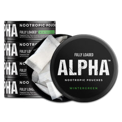 Fully Loaded Pouches Wintergreen packaging shows discreet nicotine pouch replacement