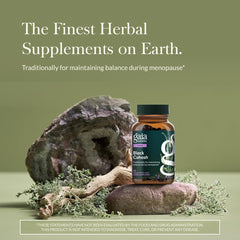 Ga ia Herbs Black Cohosh capsules close-up of vegan phyto-caps