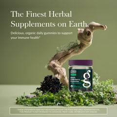 Gaia Herbs gummies label shows USDA Organic certification and real fruit sweetness.