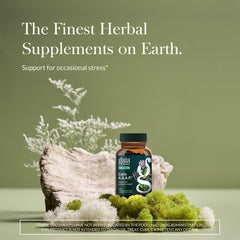 Gaia Herbs Calm A.S.A.P. capsules-closeup showcases vegan liquid phyto-caps for calm.