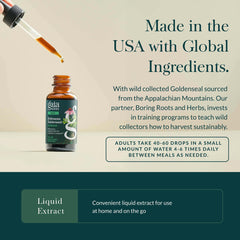 Gaia Herbs close-up of goldenseal root highlighting botanical ingredient quality