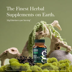 Gaia Herbs elderberry capsules, convenient daily antioxidant support.
