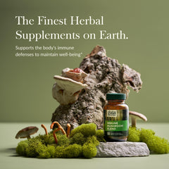 Gaia Herbs Everyday Mushrooms capsules closeup highlighting convenient daily dose