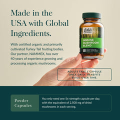 Gaia Herbs Everyday Mushrooms reishi and cordyceps image suggesting immune support