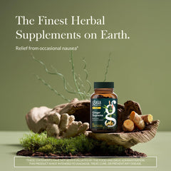 Closeup of Ginger Supreme capsules highlighting convenient daily digestive support