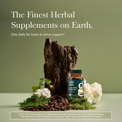 Gaia Herbs Lion's Mane bottle side shows 40 vegan capsules for daily use.