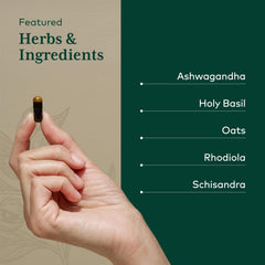 Gaia Herbs PRO Daytime HPA ingredients layout featuring ashwagandha, rhodiola, holy basil.