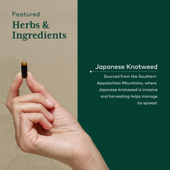 Gaia Herbs Pro Resveratrol 150 key ingredient Japanese knotweed highlighted