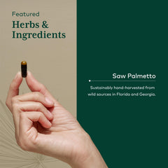 GAIA Herbs PRO sunflower lecithin capsule close-up emphasizes healthy fats.