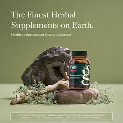 Gaia Herbs Resveratrol capsules inside bottle for easy daily use