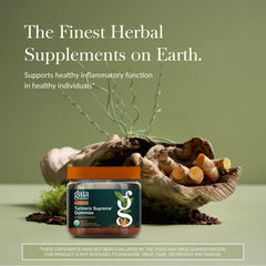 Close-up of Gaia Herbs Turmeric Supreme Gummies texture and lemon-ginger taste.