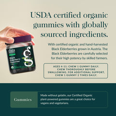 GaiaKids vegan gummies ingredients closeup highlights organic purity.