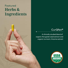 Clinically studied CurQFen illustration highlighting absorption support.