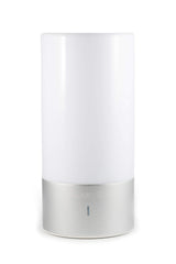 Gamma Clarity 40Hz lamp front view for focused cognitive wellness sessions