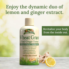 Close-up of lemon zest and ginger atop Garden Greens Wheat Grass Liquid for vibrant flavor.