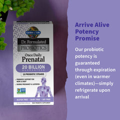 Close-up of Garden of Life prenatal capsules illustrating's probiotic blend.