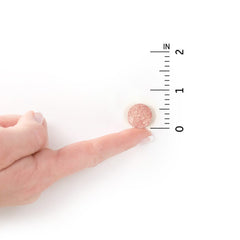 Garden of Life Kids five-billion-cfu chewable probiotic showing potency.