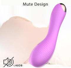 Generic 2025 massager shown with travel-friendly carrying case.