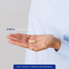 Ginger Extract capsules stacked for daily digestive and overall wellness.