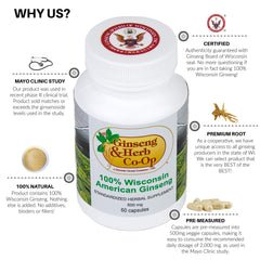 Ginseng and Herb Co-Op authentic Panax quinquefolius dried root display suggests quality and purity