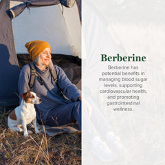 Global Healing Center berberine capsules close-up showing compact daily-use size.